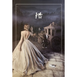 Adopte Un Mec, affiche originale de 2019 « Cendrillon »