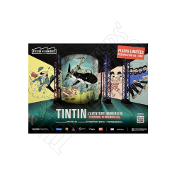 Atelier des lumières - Tintin aventure immersive