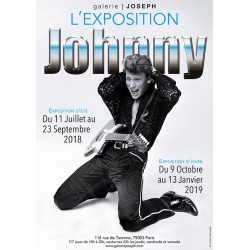 L'Exposition Johnny Halliday à la Galerie Joseph. (Guitare)