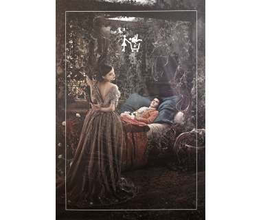 Adopte Un Mec, affiche originale de 2019 « La Belle au Bois Dormant »