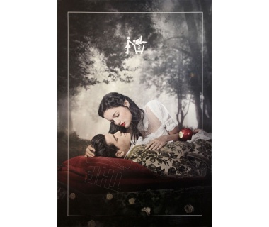 Adopte Un Mec, affiche originale de 2019 « Blanche-Neige »