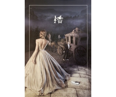 Adopte Un Mec, affiche originale de 2019 « Cendrillon »