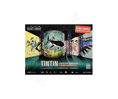 Atelier des lumières - Tintin aventure immersive