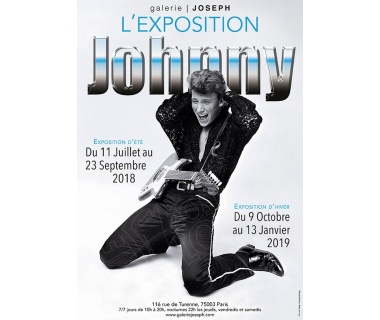 L'Exposition Johnny Halliday à la Galerie Joseph. (Guitare)