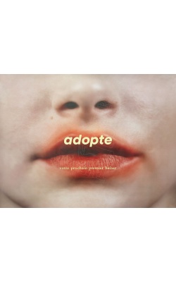 Affiche originale "ADOPTE un MEC", "Votre prochain premier baiser" modèle femme