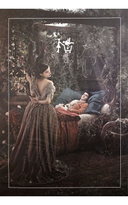 Adopte Un Mec, affiche originale de 2019 « La Belle au Bois Dormant »