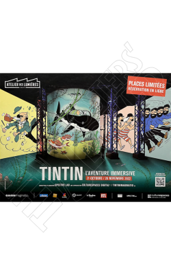 Atelier des lumières - Tintin aventure immersive